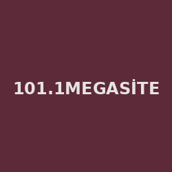 101.1Megasite