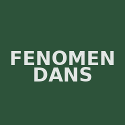 FENOMEN DANS