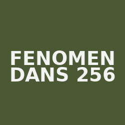 Fenomen Dans 256