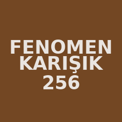 Fenomen Karışık 256